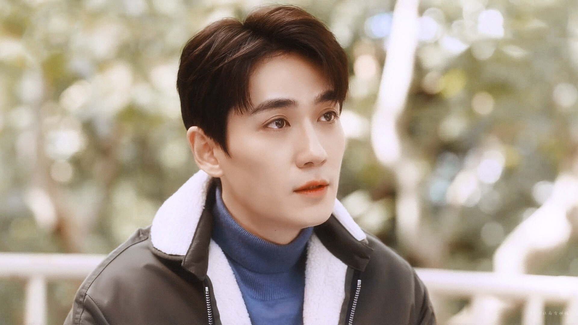 新加坡骑手Alice Shi在Jumping World Challenge中获得B类组别前三名，成绩优异。