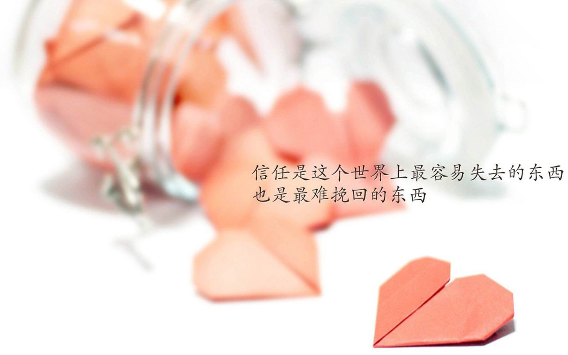 _红毯赛：明星光影照耀下的时尚运动秀_，明星红毯造型