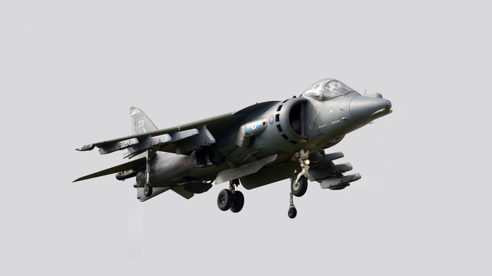 全国青少年“拼搏之星”年度评选正式启动，表彰未来之星，拼搏之星什么意思