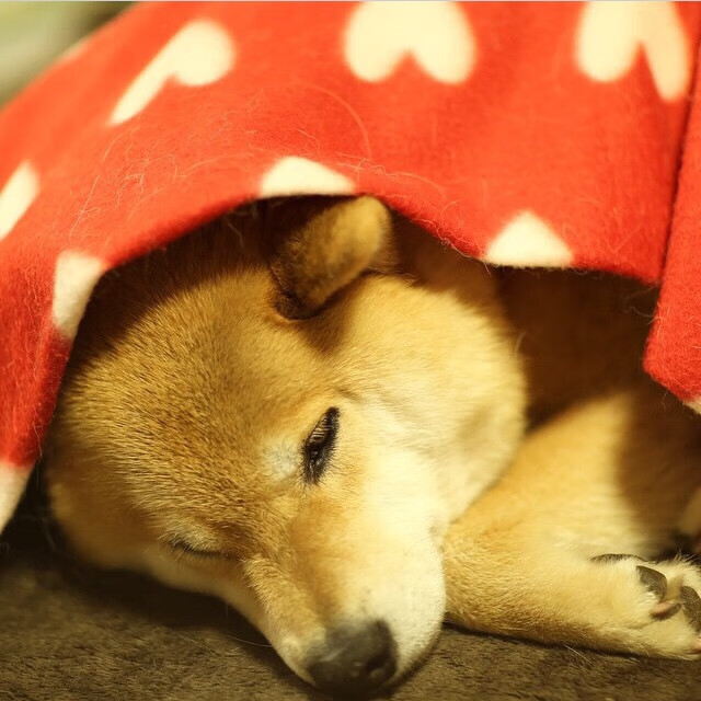 国家体育总局发布瑜伽行业发展规划，2020年瑜伽行业